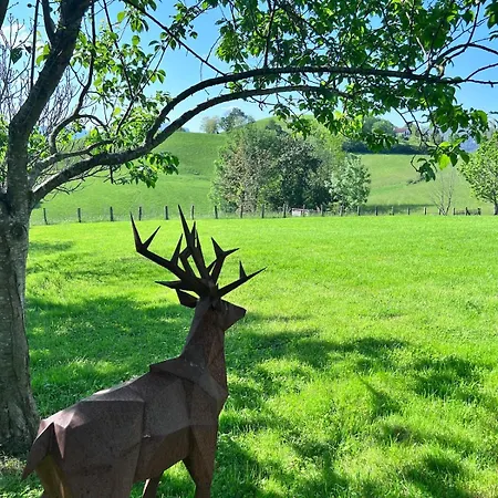 Maison Biscaya, 2-4 Pers Saint-jean-pied-de-port *