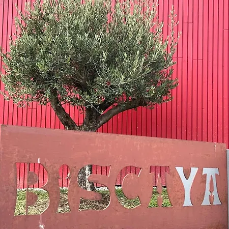 Maison Biscaya, 2-4 Pers Saint-jean-pied-de-port Daire