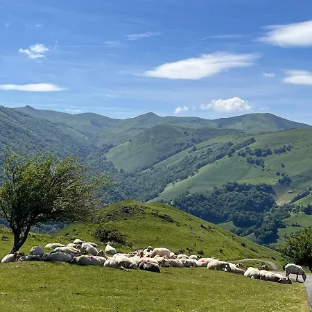 Daire Maison Biscaya, 2-4 Pers Saint-jean-pied-de-port Caro (Pyrenees-Atlantiques)